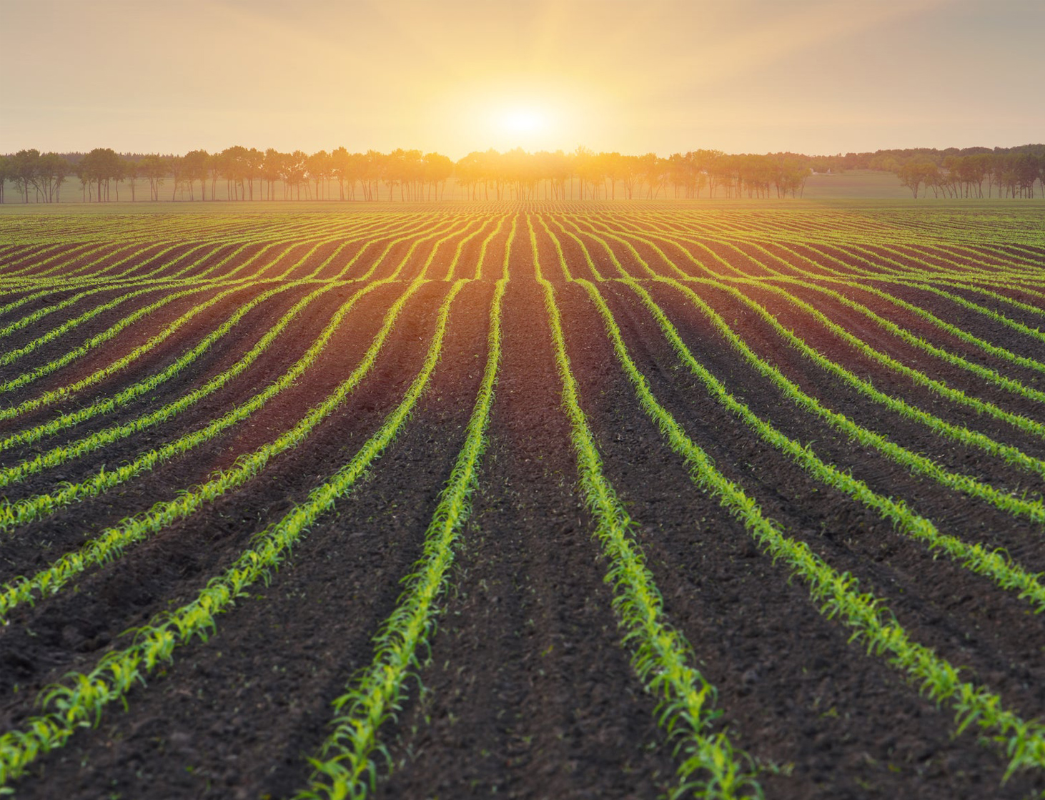 Darshan Properties is a company of Property Sale Purchase In Bawana